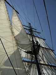 080508_Roald_Amundsen 271
